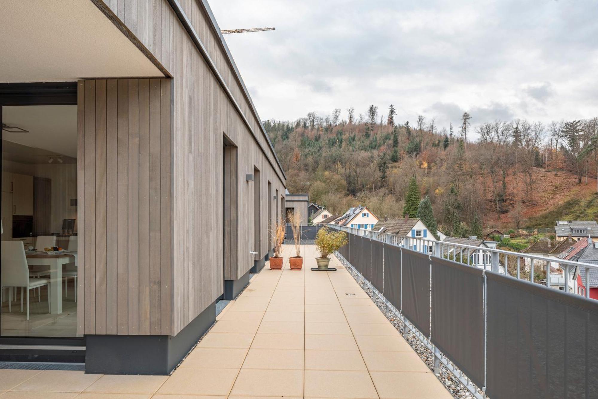 Felsenkeller Appartements Waldkirch Kültér fotó